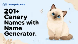 Canary Names