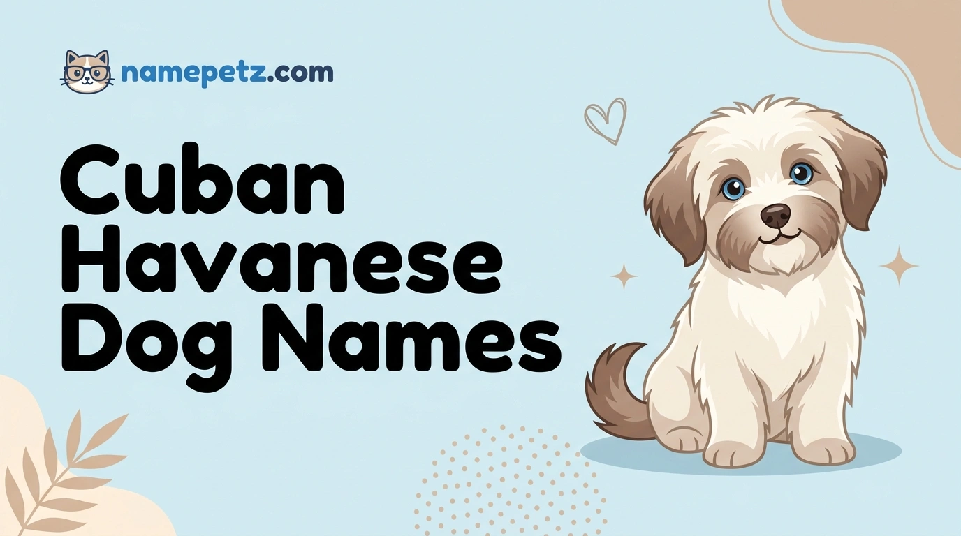 Cuban Havanese Dog Names