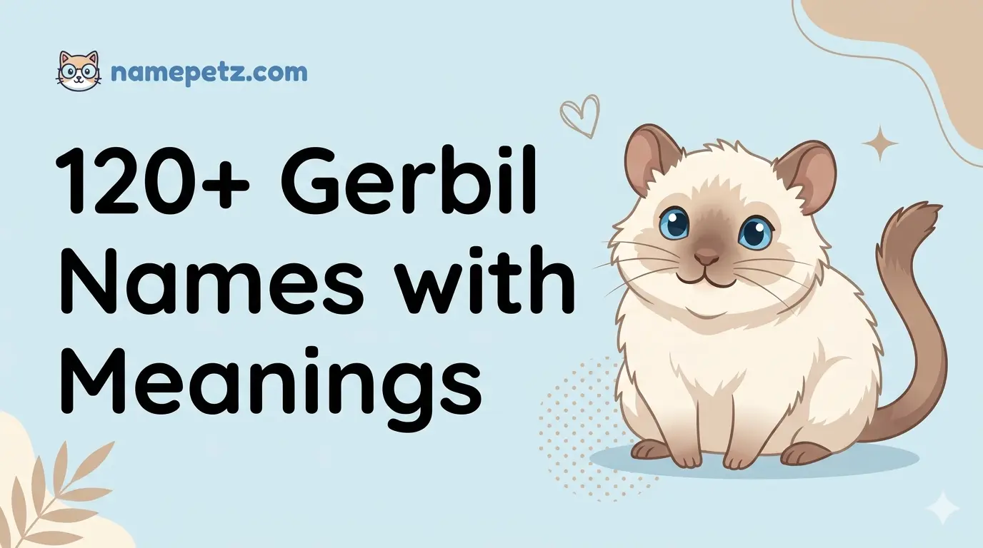 Gerbil Names