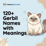 Gerbil Names
