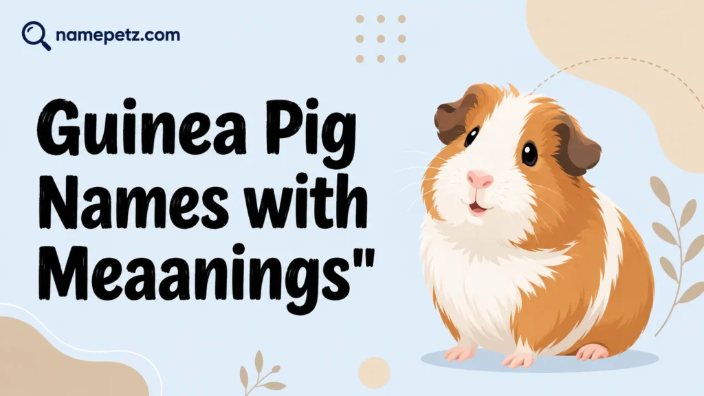 Guinea Pig Names