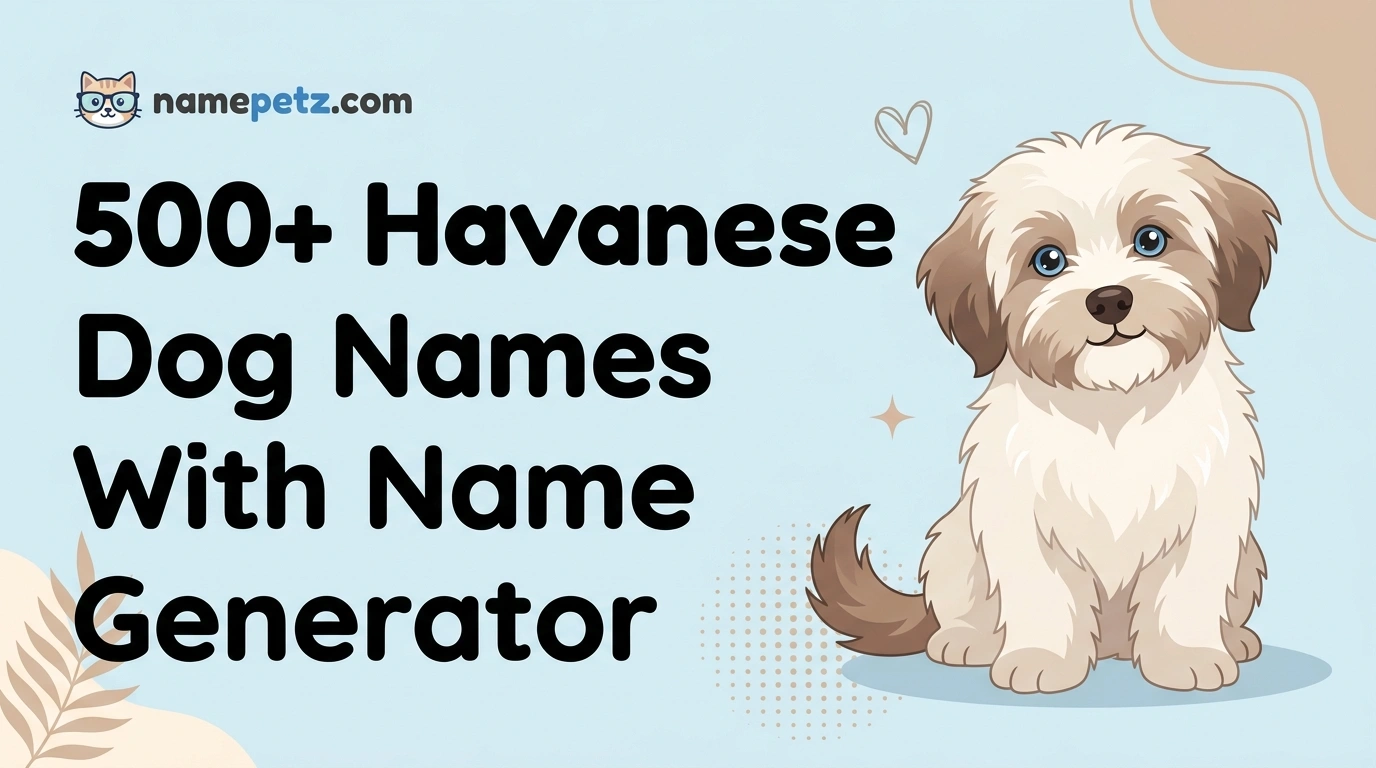 Havanese Dog Names