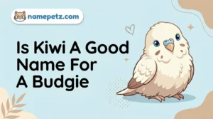 Is Kiwi A Good Name For A Budgie