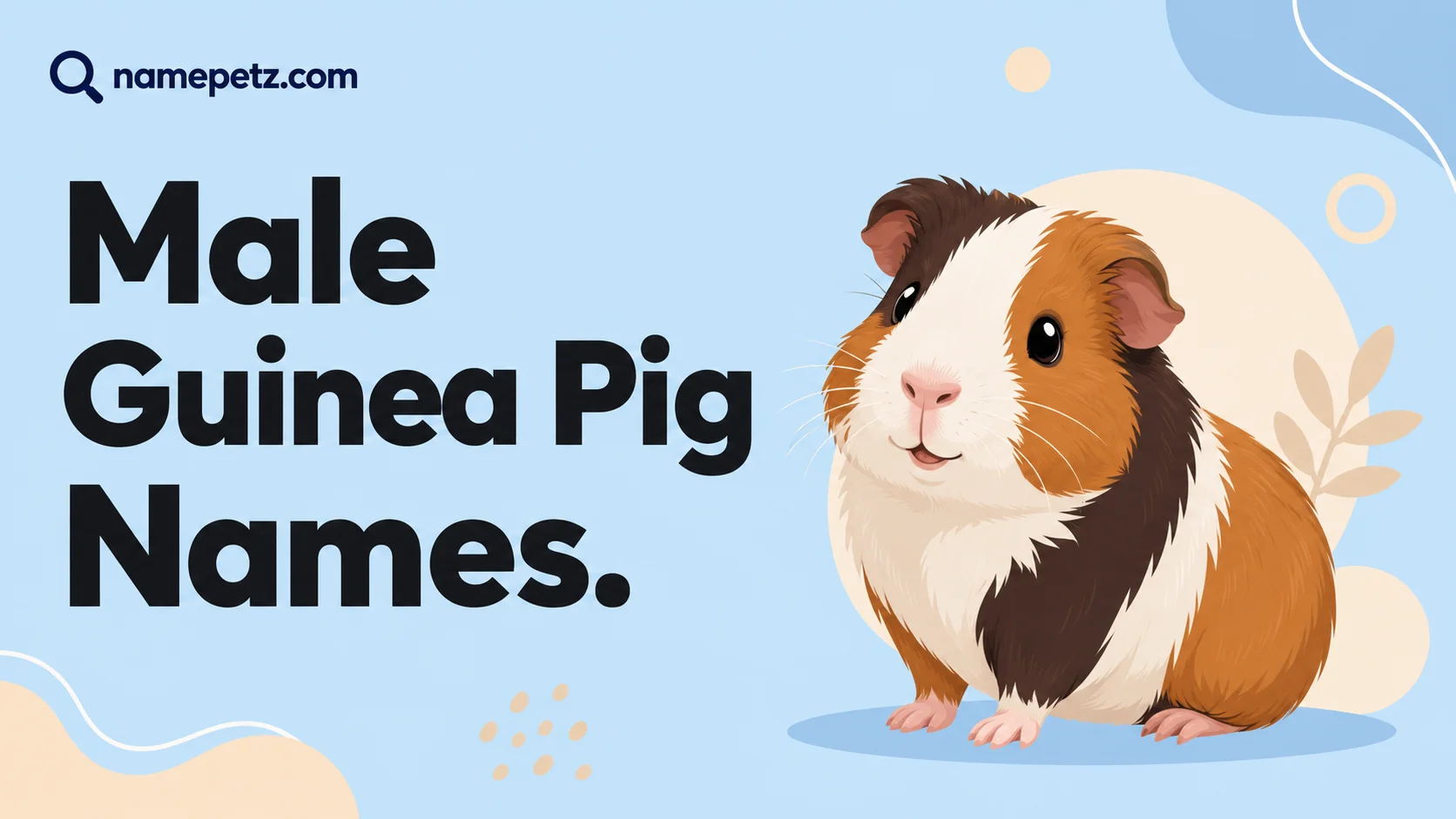 Male Guinea Pig Names