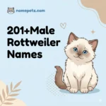 Male Rottweiler Names