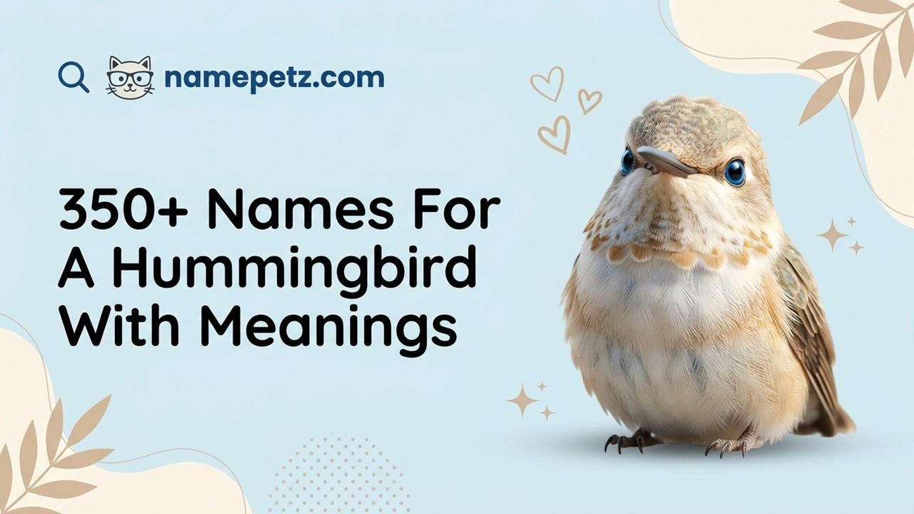 Names For A Hummingbird