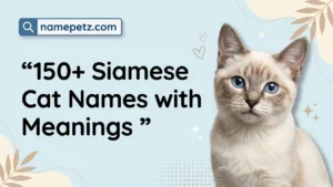 siamese cat names