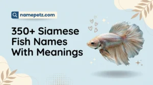 siamese fish names