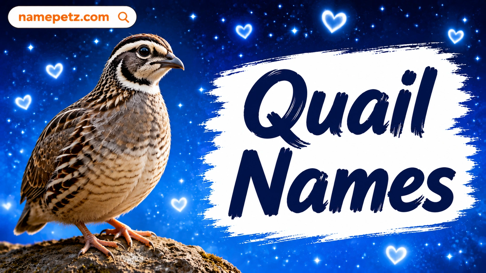 Quail Names