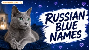 Russian Blue Names