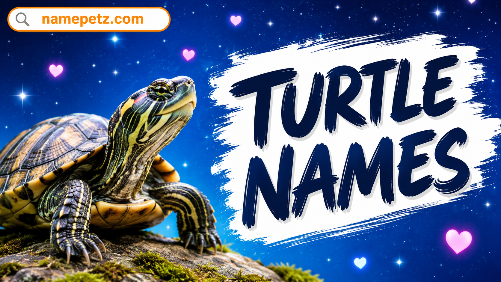turtle names
